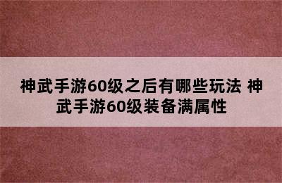 神武手游60级之后有哪些玩法 神武手游60级装备满属性